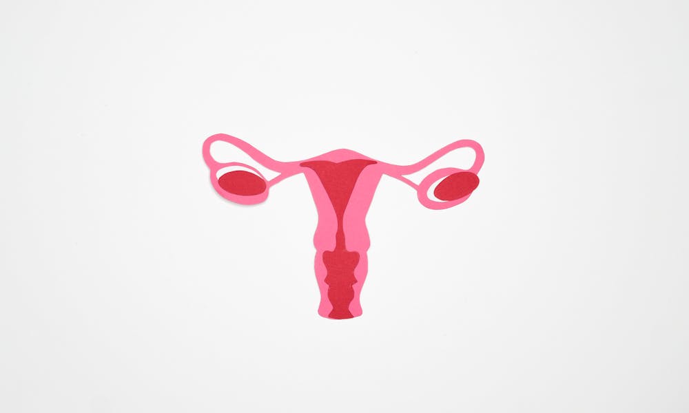 Graphic Art of a Woman's Ovary .pexels