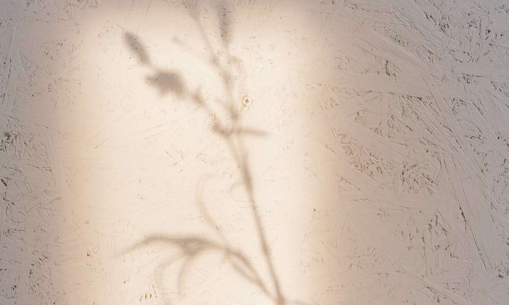 White and Black Abstract Painting .pexels