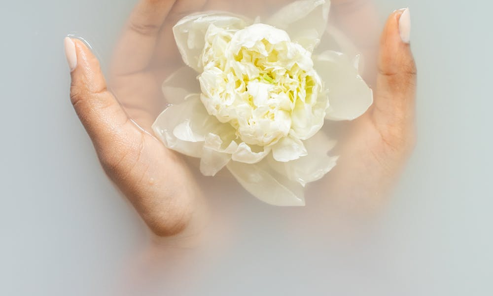 Unrecognizable female with soft manicured hands holding white flower with delicate petals in hands during spa procedures .pexels