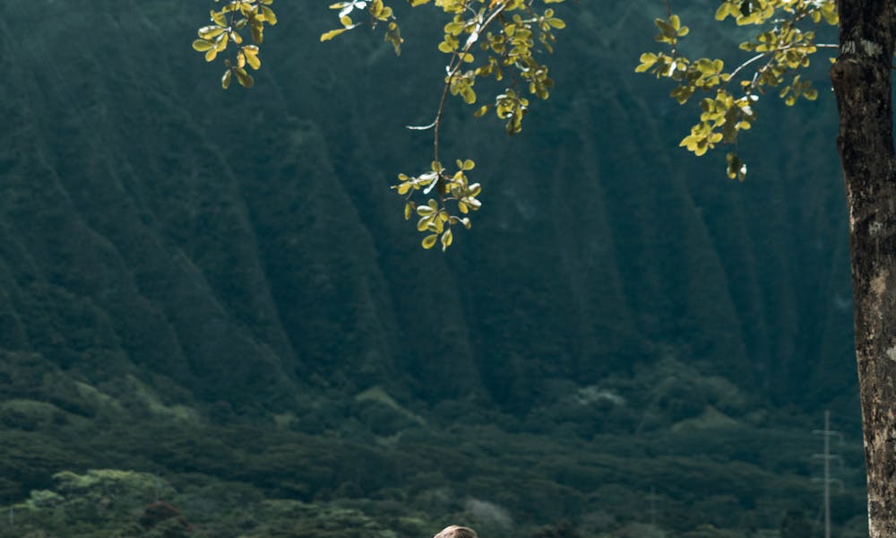 Unrecognizable female meditating on grass in highlands on sunny day .pexels