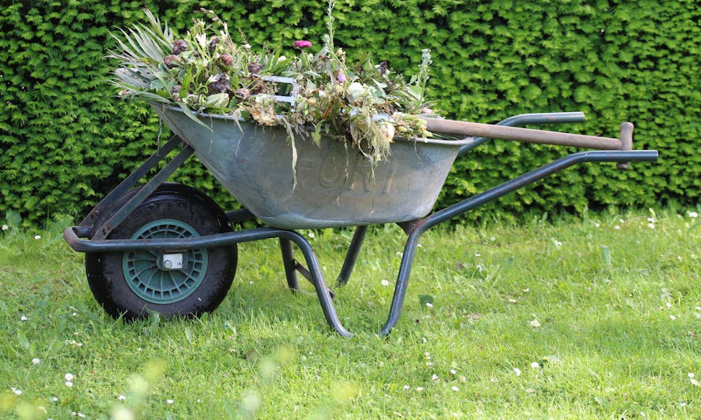wheelbarrow .pexels
