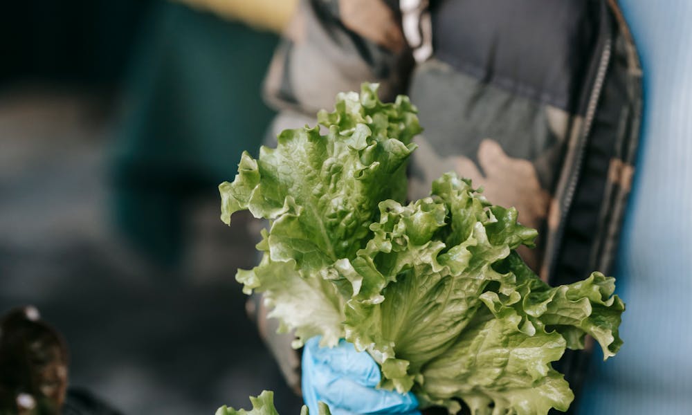 Crop unrecognizable female buyer in protective mask and gloves choosing fresh green lettuce while making purchases in food market during coronavirus pandemic .pexels