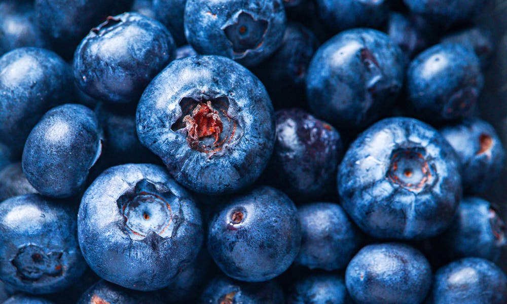 Close up of Blueberries .pexels
