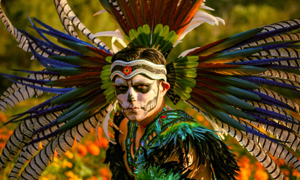 Colorful Aztec dancer with feathered headdress in a marigold field, evoking cultural heritage. .pexels