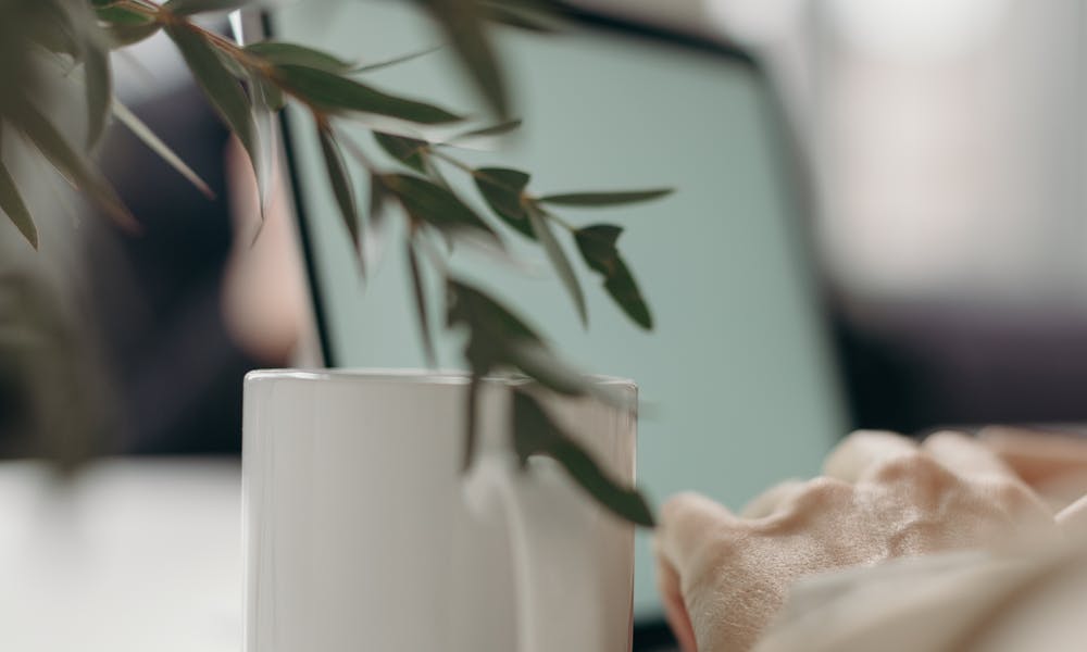 A calm home office scene with a white ceramic mug, computer laptop, and green leaves. .pexels