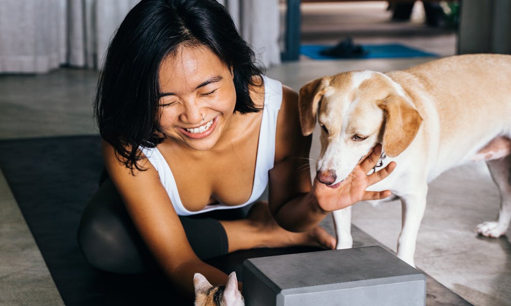 Yoga with fluffy friends .pexels