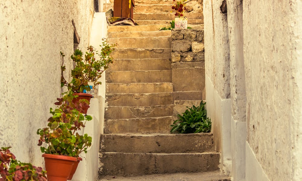 Charming narrow alley with stone steps and potted plants in Mandi, India. .pexels